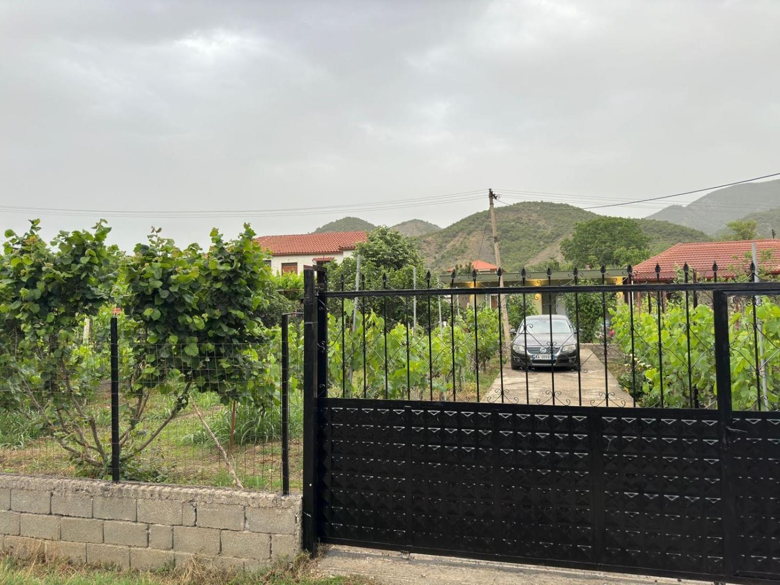 Green House Permet Exterior photo