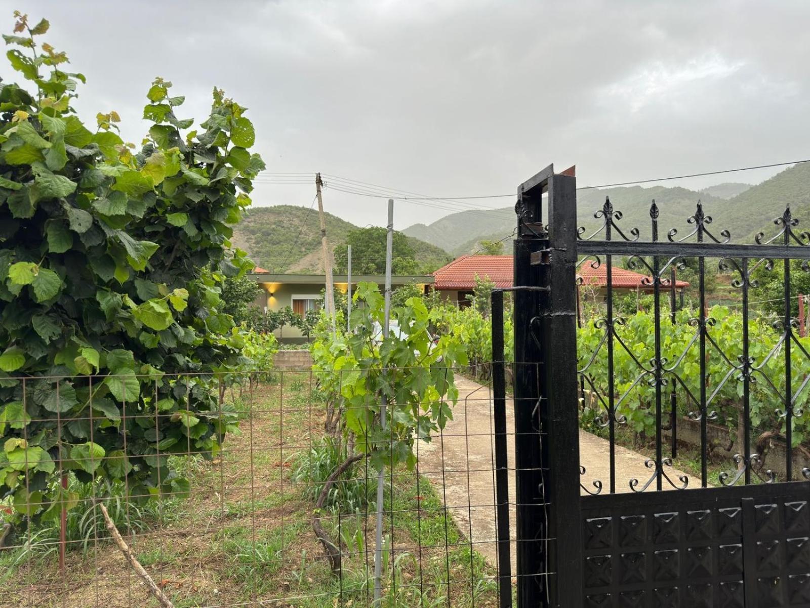 Green House Permet Exterior photo
